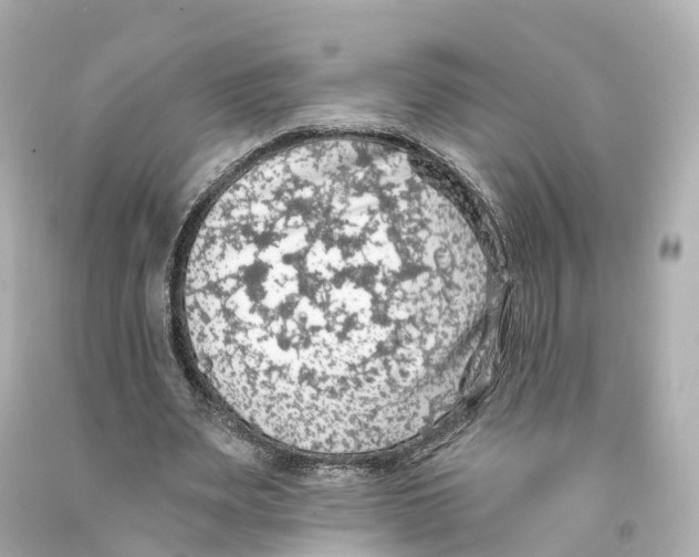 X0000093090487200710241203