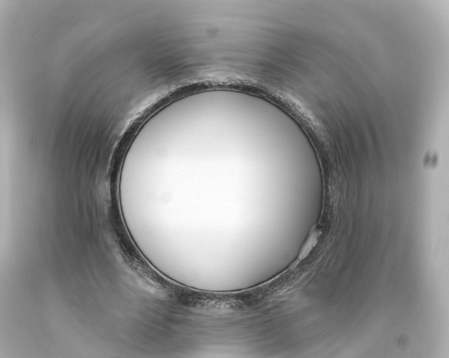X0000093090488200710241203