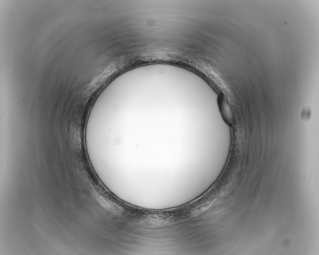 X0000093090489200710241203
