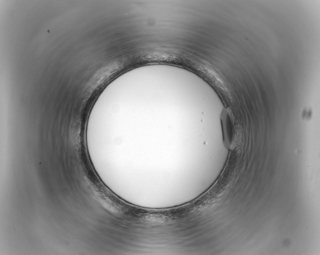 X0000093090490200710241203