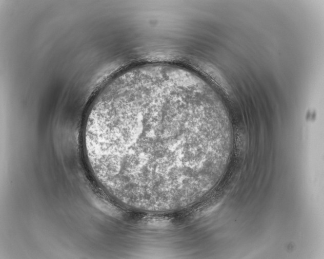 X0000093090491200710241203
