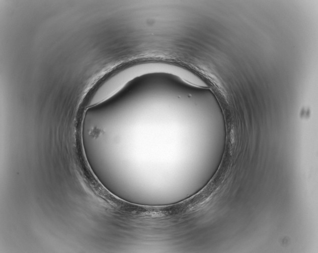 X0000093090492200710241203