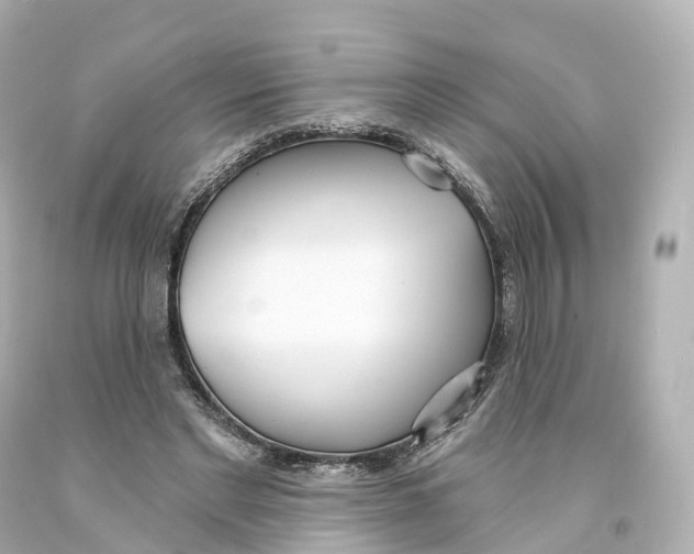 X0000093090493200710241203