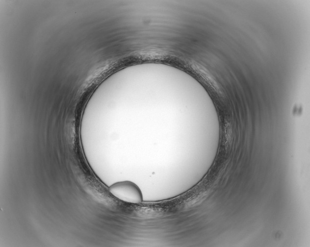 X0000093090494200710241203