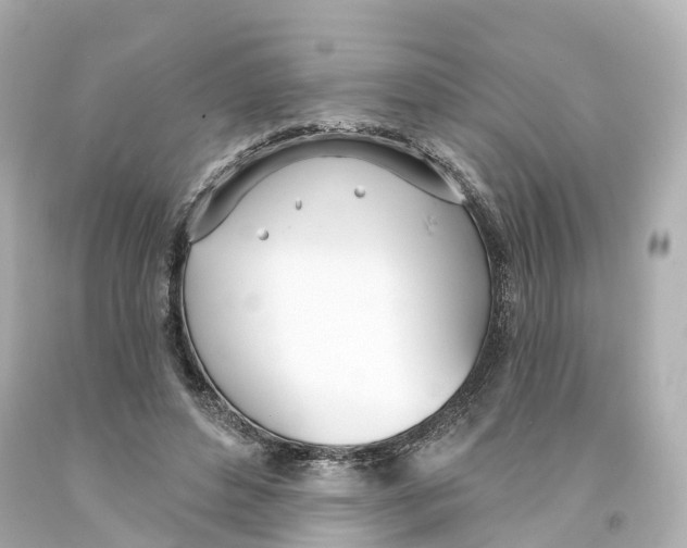 X0000093090496200710241203