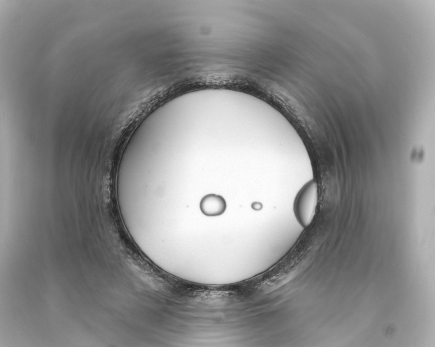 X0000093090497200710241203