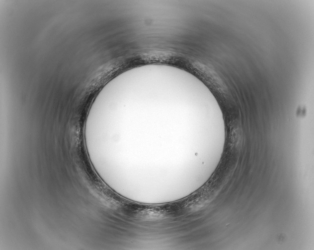 X0000093090498200710241203