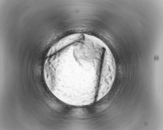 X0000093090499200710241203