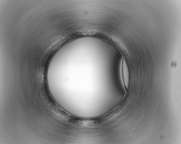 X0000093090501200710241203
