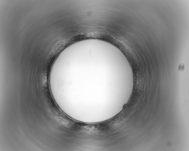 X0000093090502200710241203