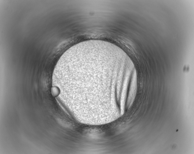 X0000093090503200710241203