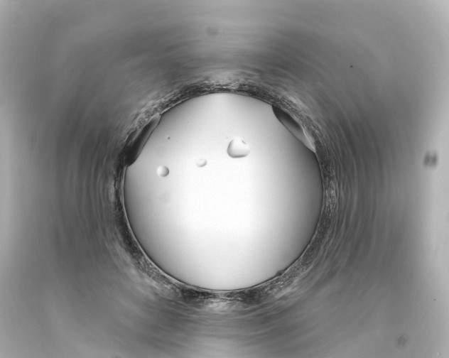 X0000093090504200710241203