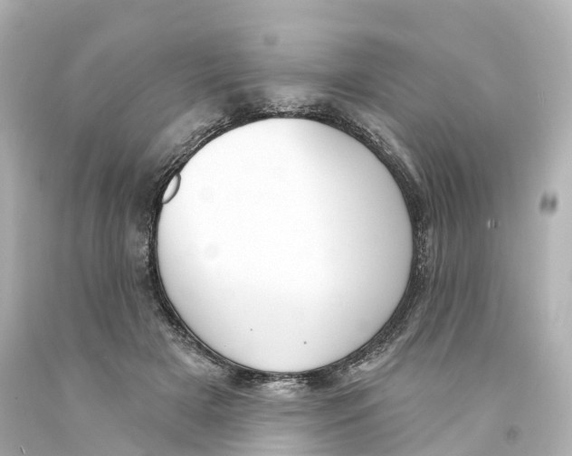 X0000093090505200710241203