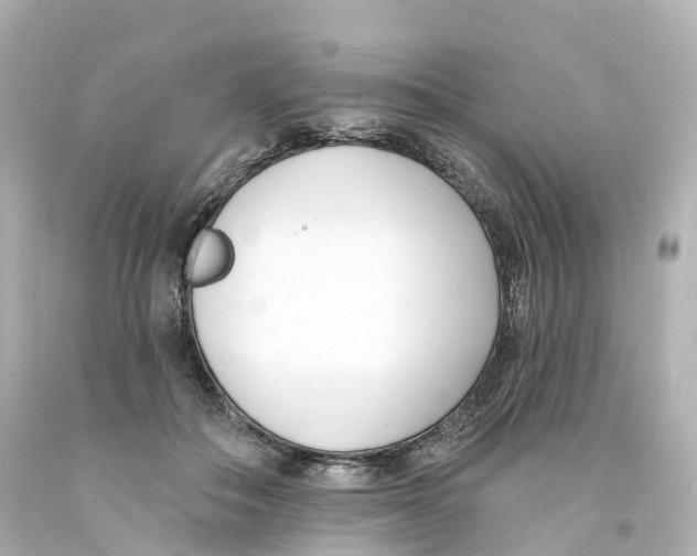 X0000093090506200710241203