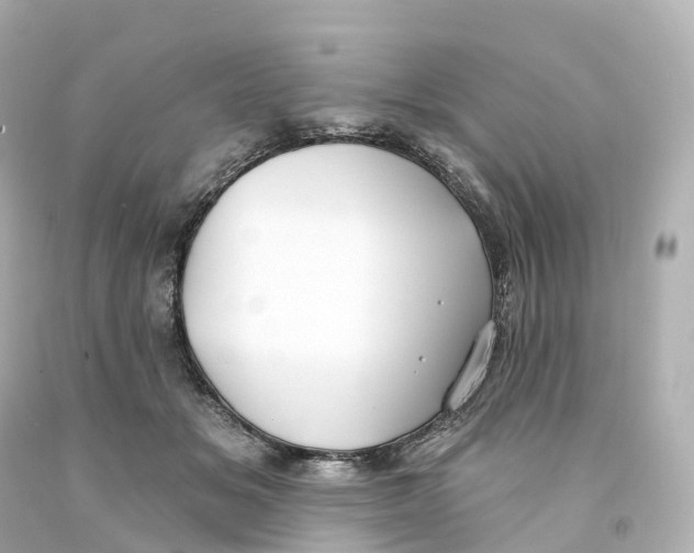 X0000093090509200710241203