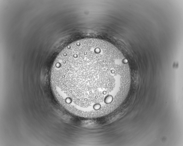 X0000093090511200710241203