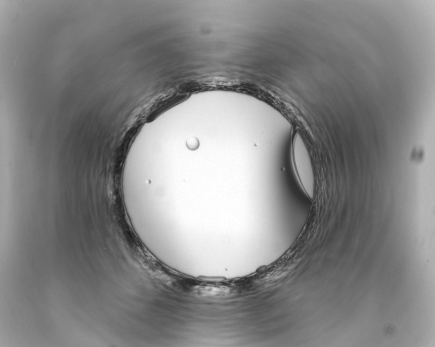 X0000093090512200710241203