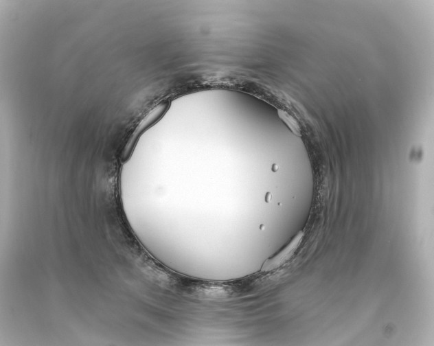 X0000093090513200710241203