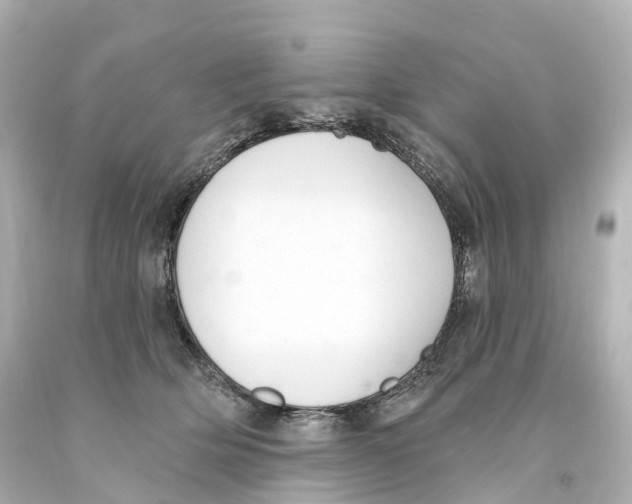 X0000093090514200710241203