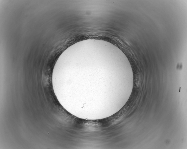 X0000093090515200710241203
