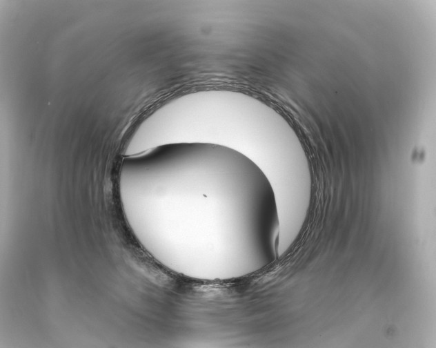 X0000093090516200710241203