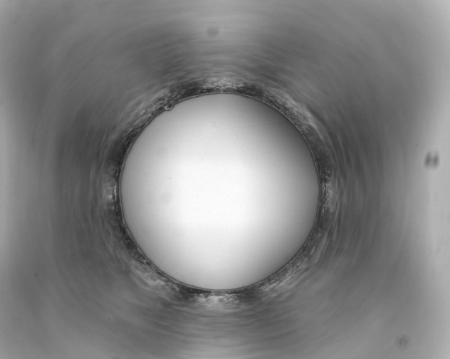 X0000093090517200710241203