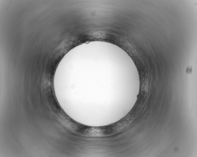X0000093090518200710241203