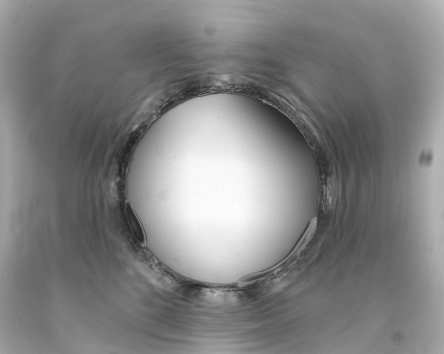 X0000093090520200710241203