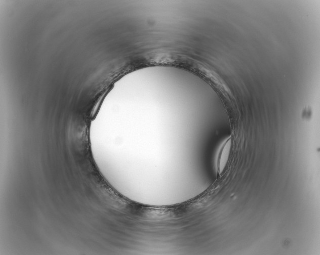 X0000093090521200710241203