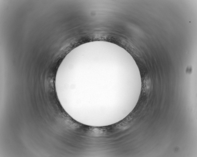 X0000093090522200710241203