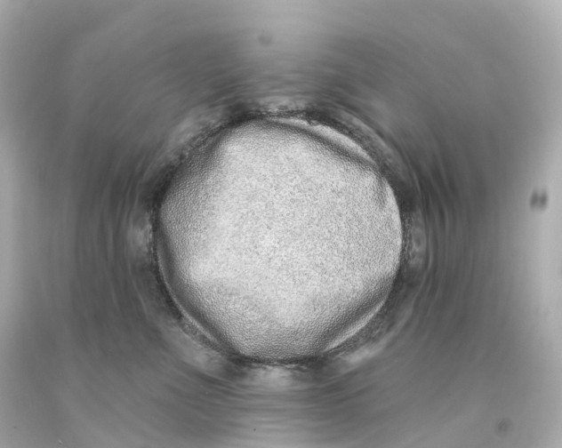 X0000093090523200710241203