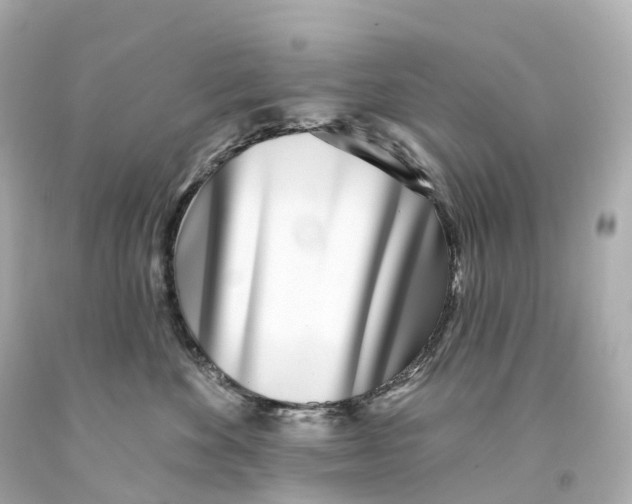 X0000093090524200710241203