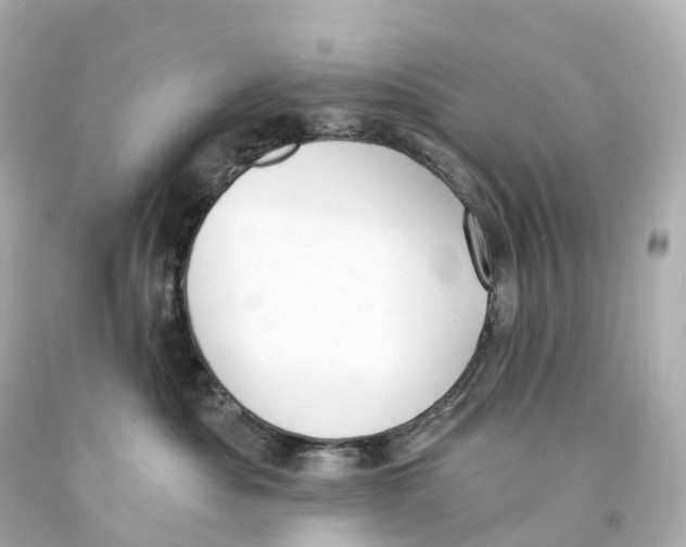 X0000093090525200710241203