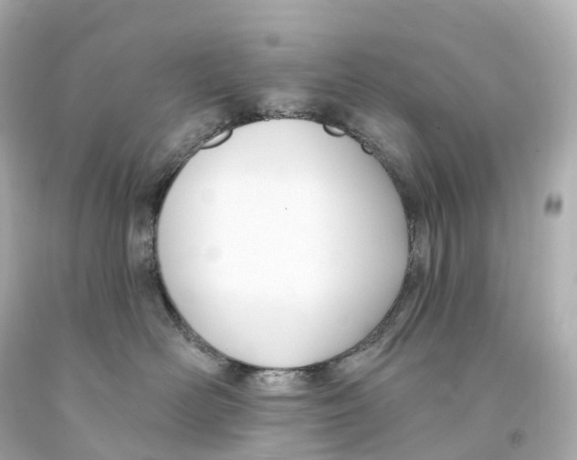 X0000093090526200710241203