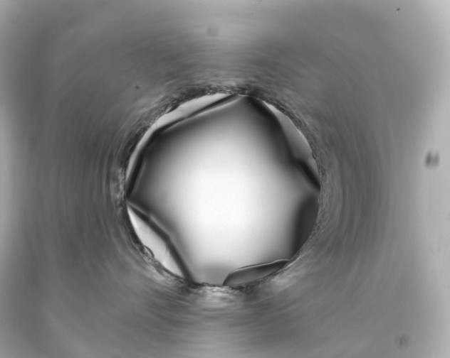 X0000093090528200710241203