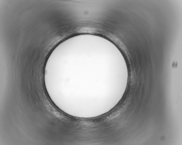 X0000093090529200710241202
