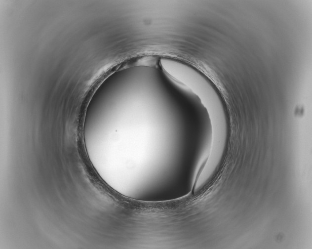 X0000093090530200710241202
