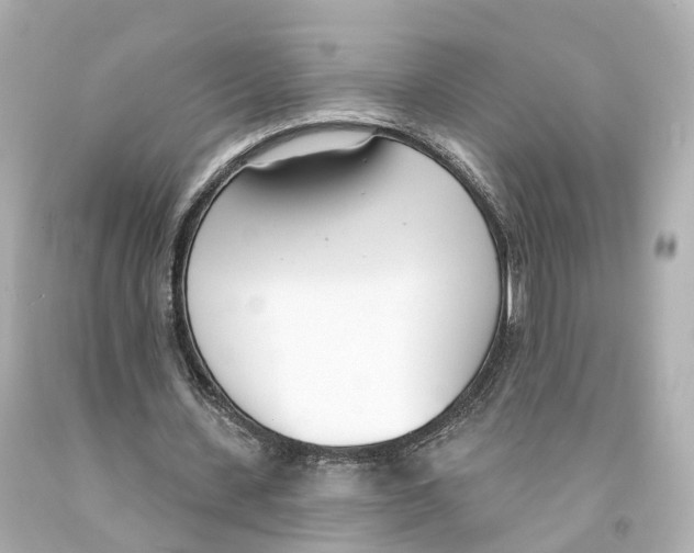 X0000093090531200710241202
