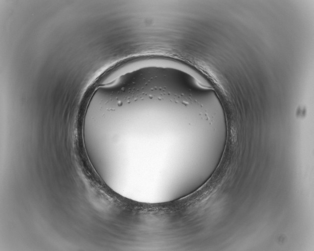 X0000093090532200710241202