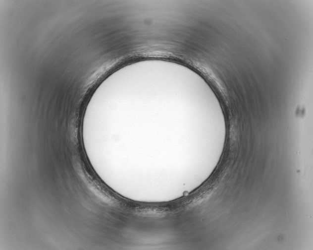 X0000093090533200710241202