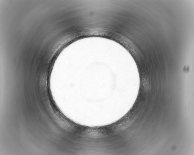 X0000093090534200710241202
