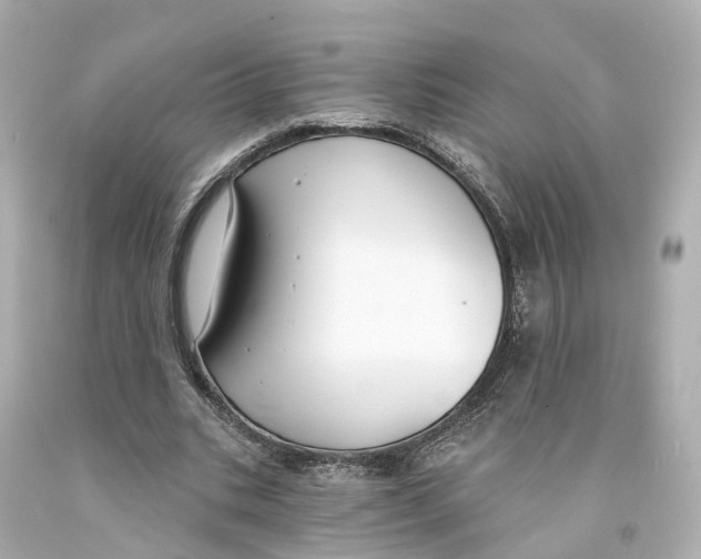 X0000093090535200710241202