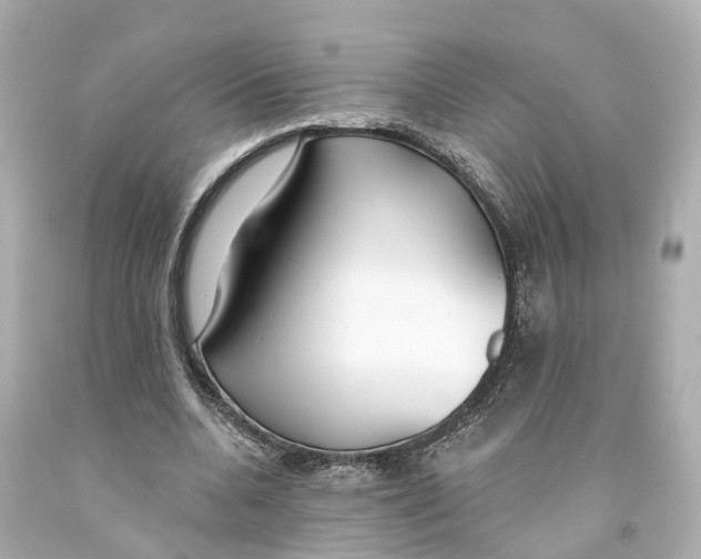 X0000093090536200710241202