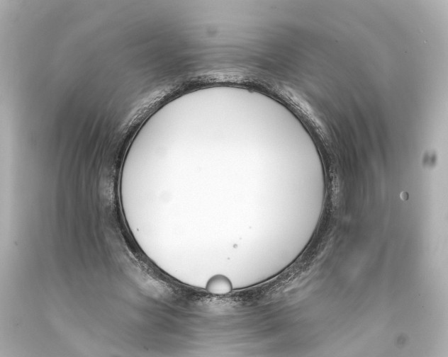 X0000093090537200710241202
