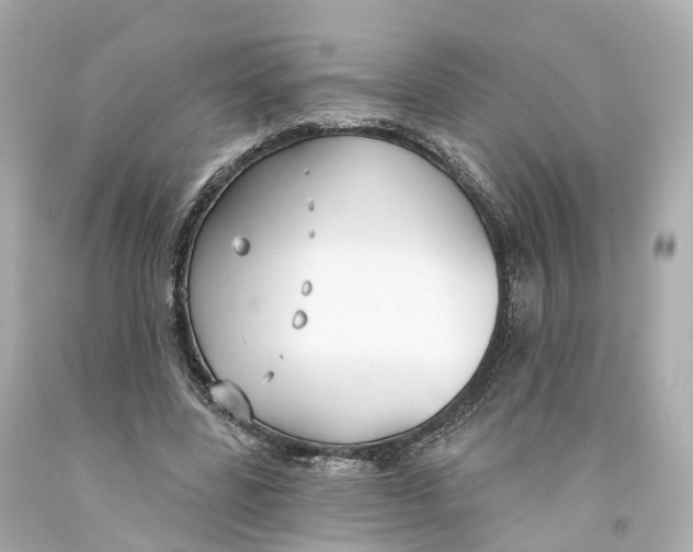 X0000093090539200710241202