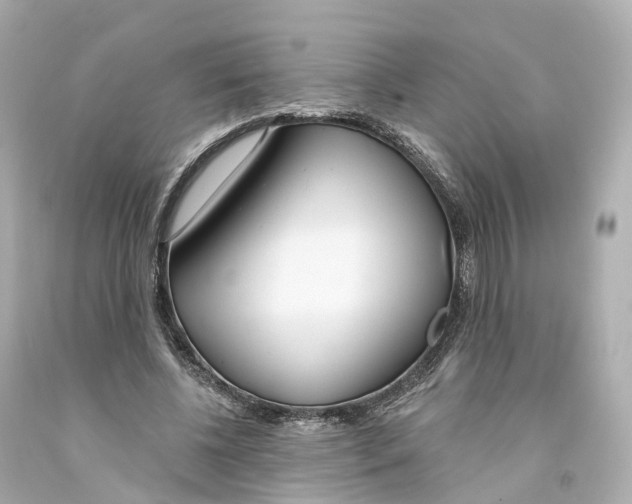 X0000093090540200710241202