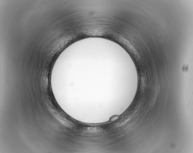 X0000093090541200710241202