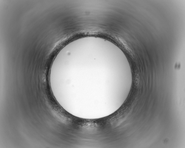 X0000093090543200710241202