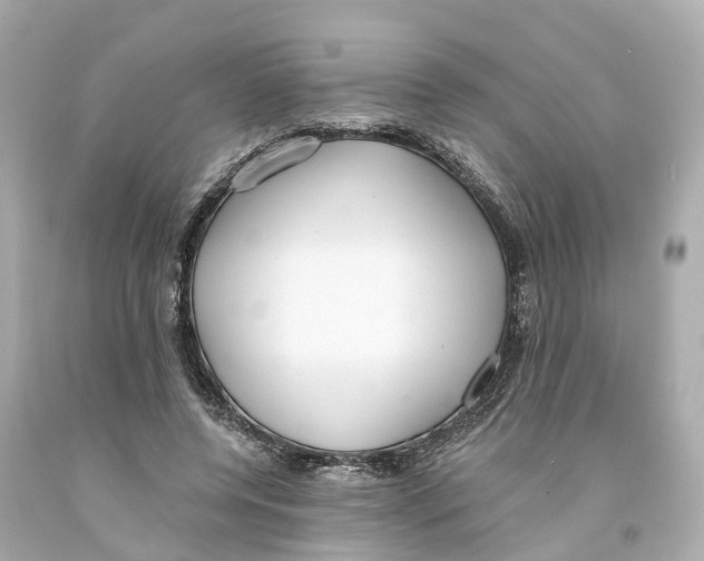 X0000093090544200710241202