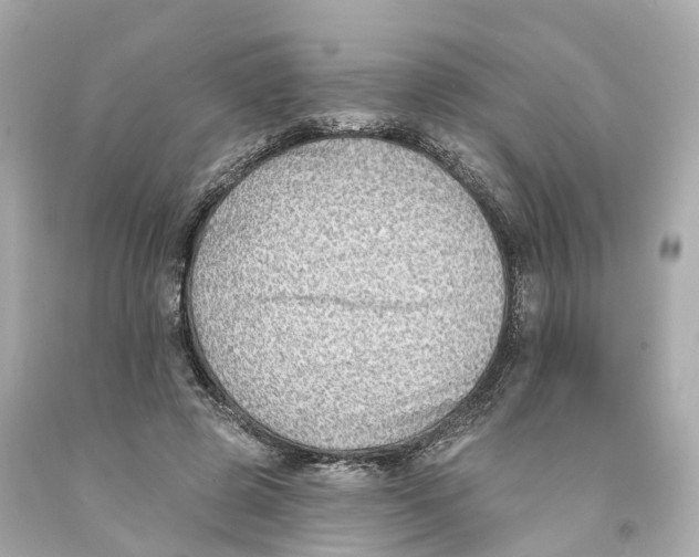 X0000093090545200710241202